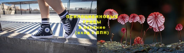 МДМА Бородино